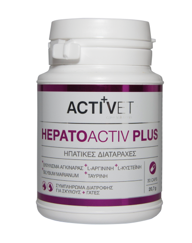 Activet® Hepatoactiv Plus